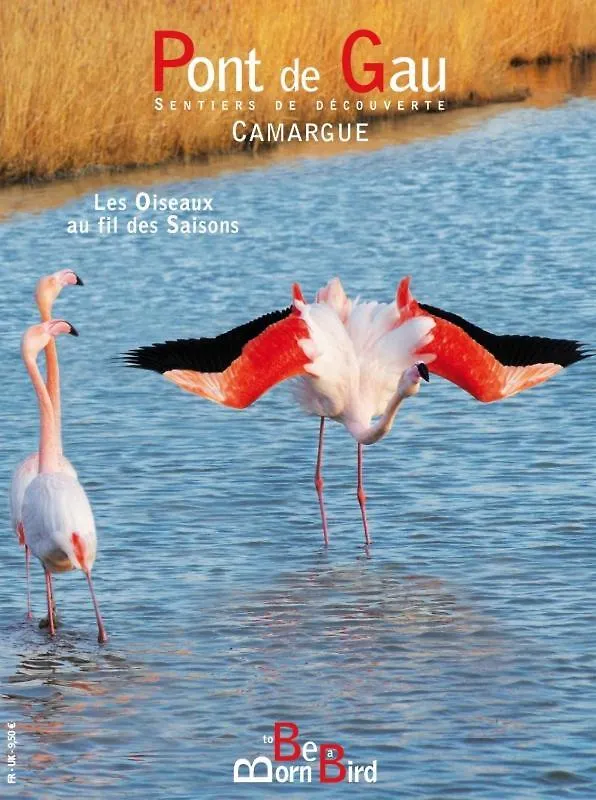 Ravissante Chambre D'Hote Independante Neuve Calme Orange  0*, Orange (Vaucluse) France